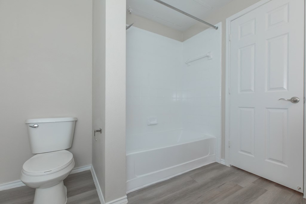 a bathroom with a toilet and a bathtub