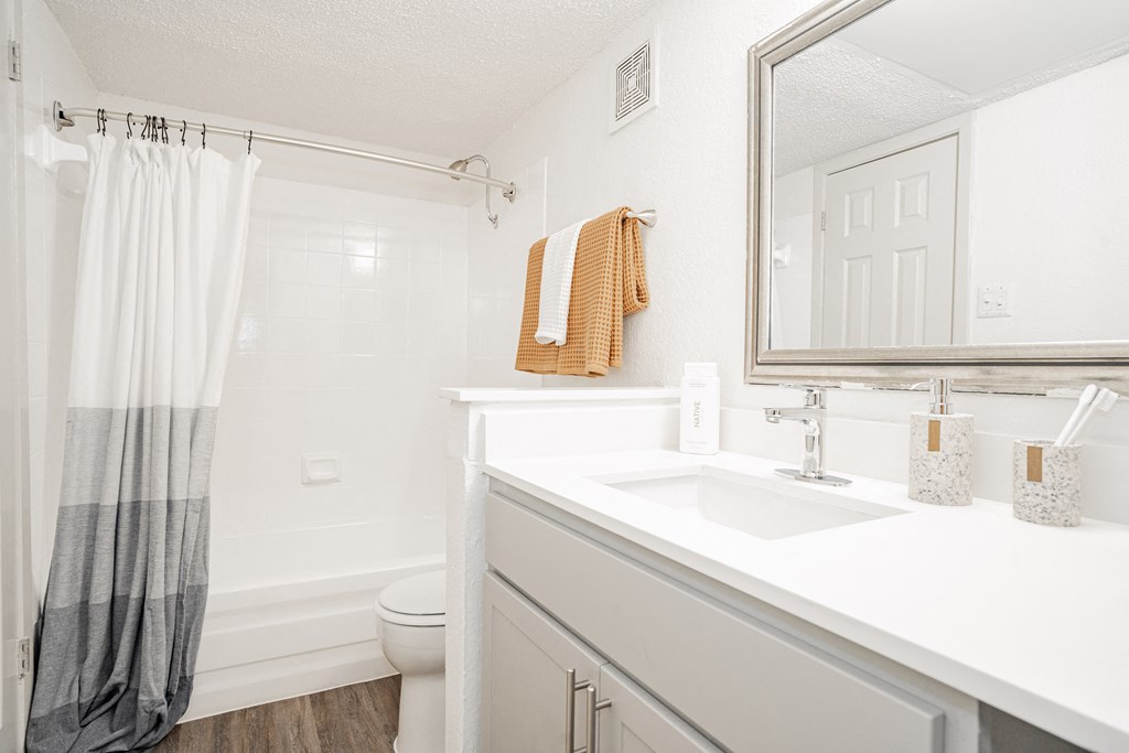 a bathroom with a shower and a sink and a mirror