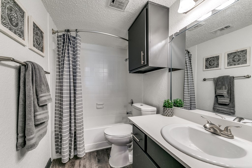 a bathroom with a sink and a toilet and a shower