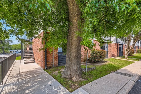 a tree in front of a brick building with a sidewalk