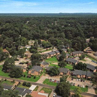 an aerial view of a neighborhood of houses and trees