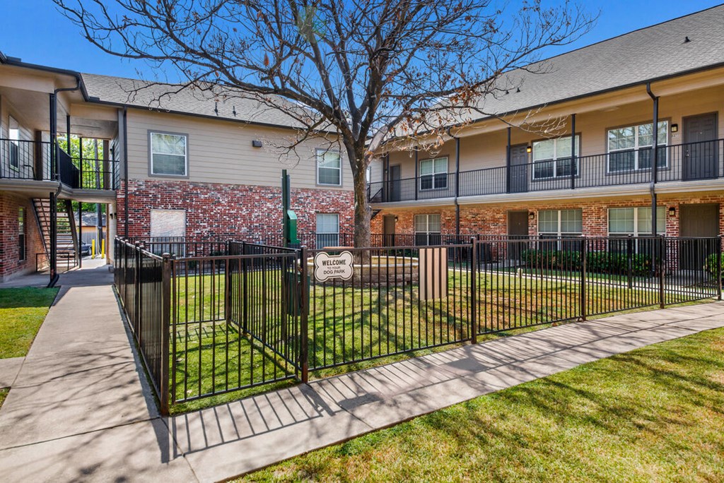 Lowell at Mueller Dog Park