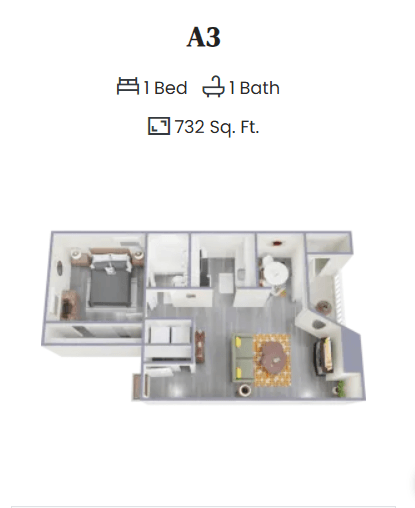A 3 bedroom apartment with 1 bathroom and 732 square feet.