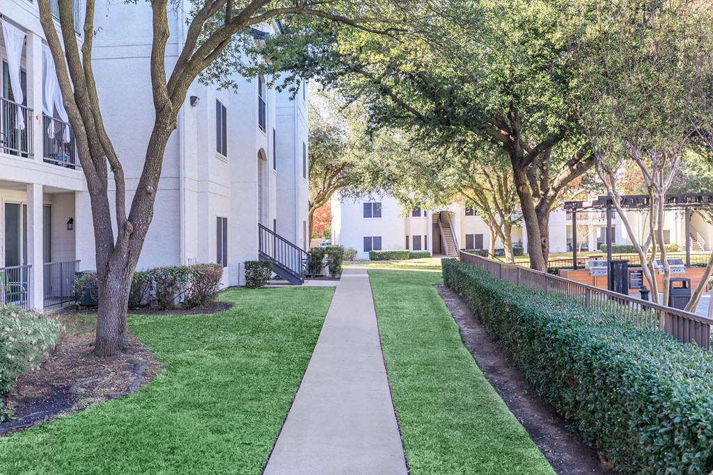 a walkway with trees and bushes on either side