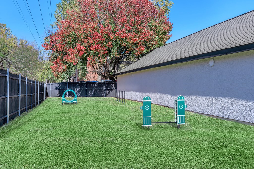 a backyard with a agility course and agility hoop