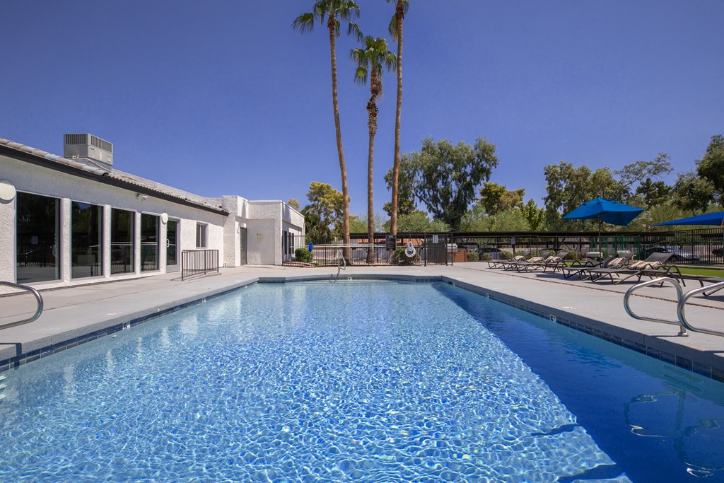 a large swimming pool with lounge chairs and palm trees in the background