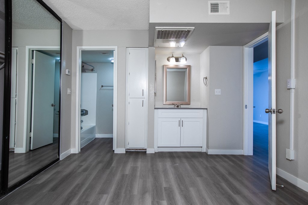 a bathroom with a sink and a mirror and a door to a closet