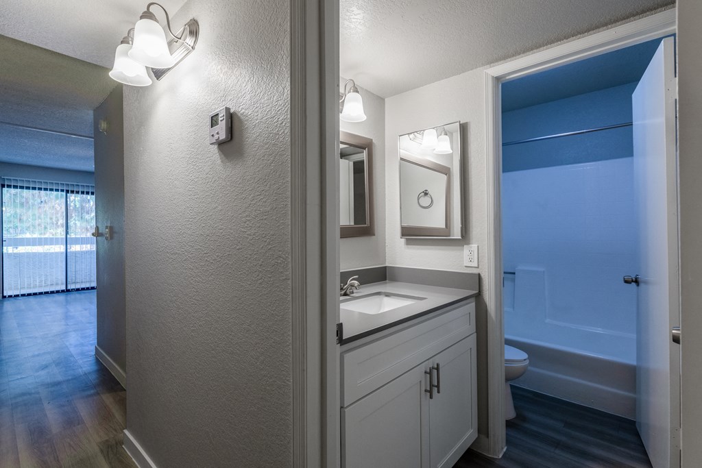 a bathroom with a sink and a mirror and a toilet