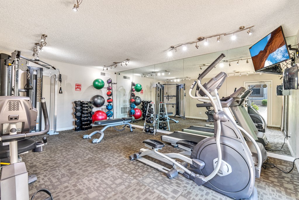 the gym at the enclave at woodbridge apartments in sugar land, tx