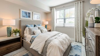 8633 Addison Place Cir 1-3 Beds Apartment for Rent - Photo Gallery 6