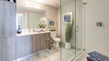 8633 Addison Place Cir 1-3 Beds Apartment for Rent - Photo Gallery 5