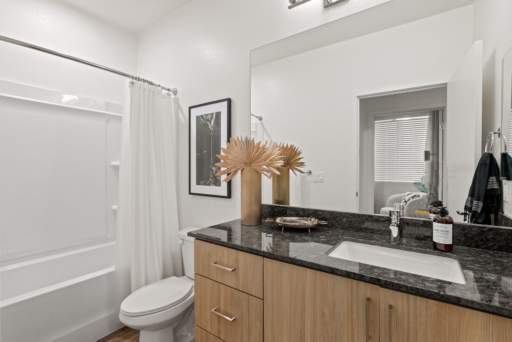 a bathroom with a sink and a mirror and a toilet