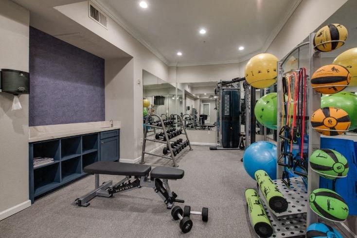 a gym with a lot of weights and other exercise equipment