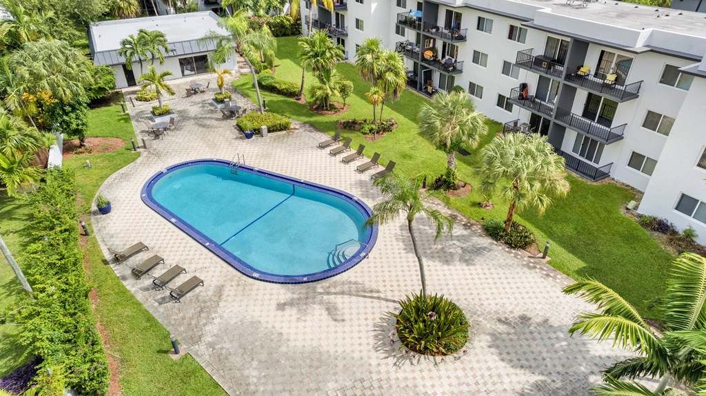 A swimming pool surrounded by palm trees and a building in the background.
