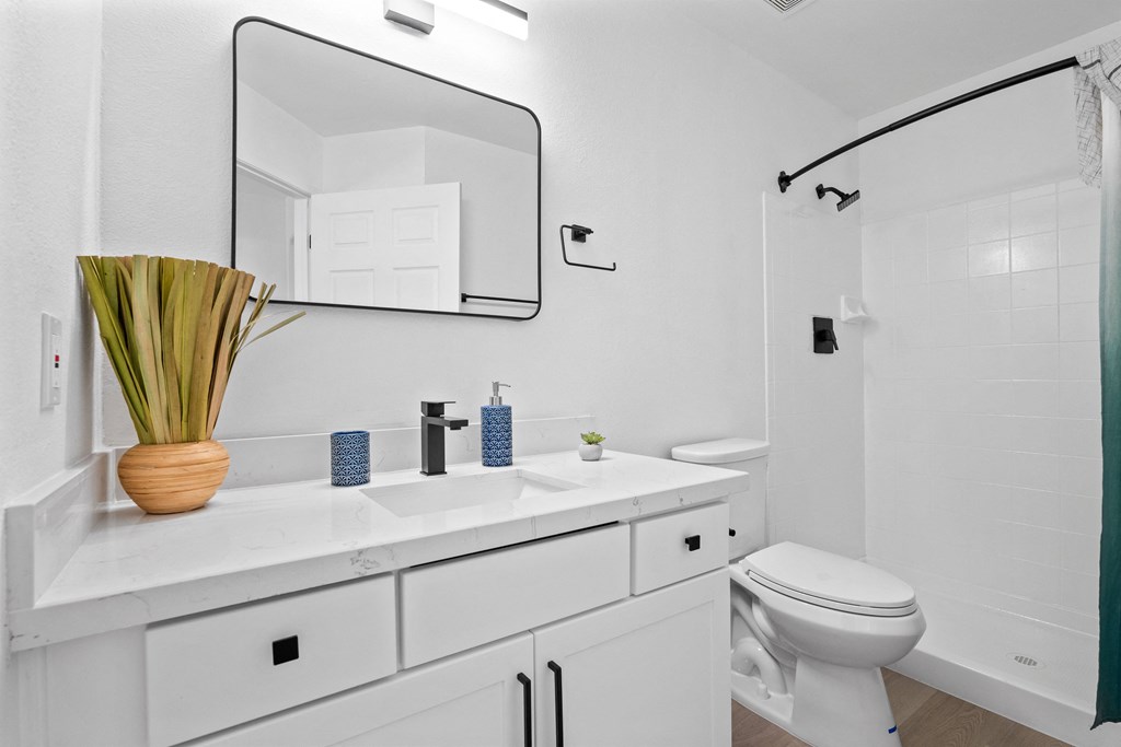 a bathroom with a sink and a toilet and a mirror