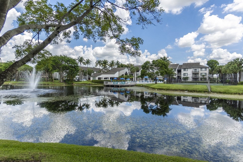 a lake with a fountain and houses in the background