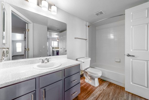 a bathroom with a sink and a toilet and a mirror