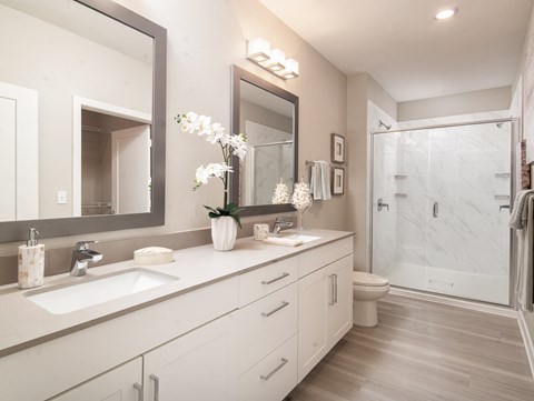 A bathroom with a sink, mirror, and shower.