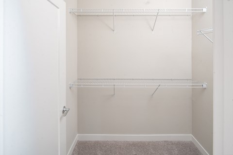A white closet with a carpeted floor and two shelves.