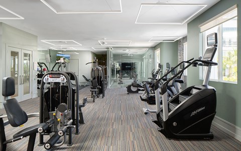 A gym with a variety of equipment including treadmills, elliptical machines, and weight machines.