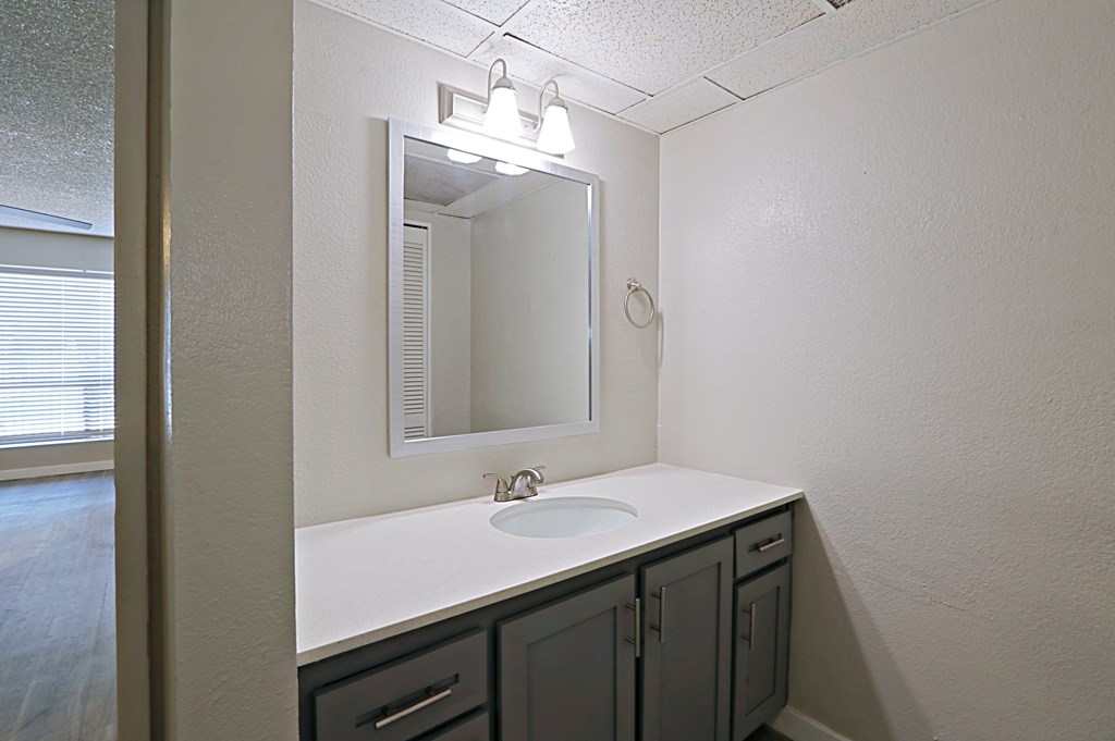 a bathroom with a sink and mirror