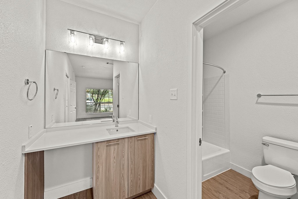 a bathroom with a toilet and a sink