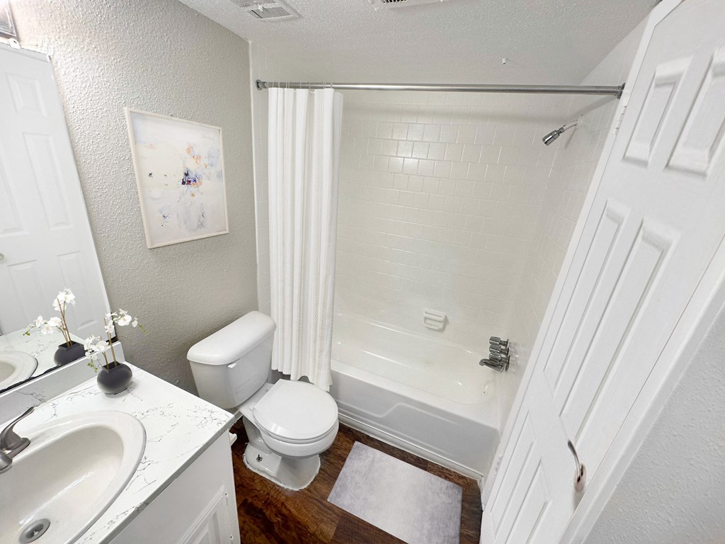 a bathroom with a shower toilet and sink