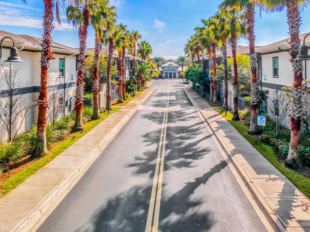 a street with palm trees and houses on both sides
