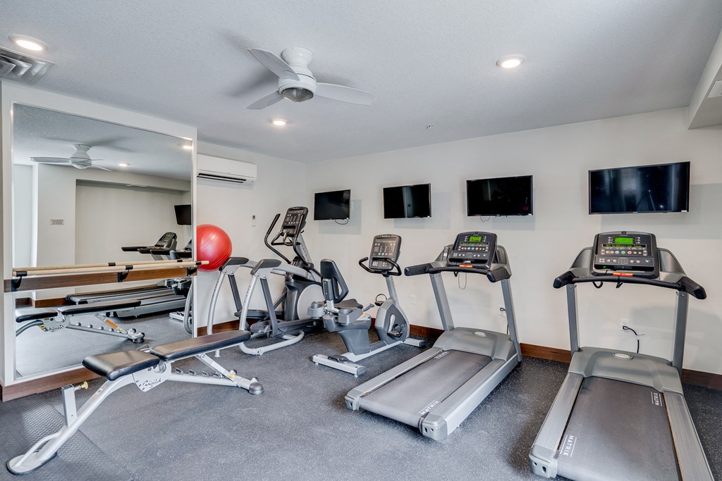the gym has plenty of cardio equipment and flat screen tv