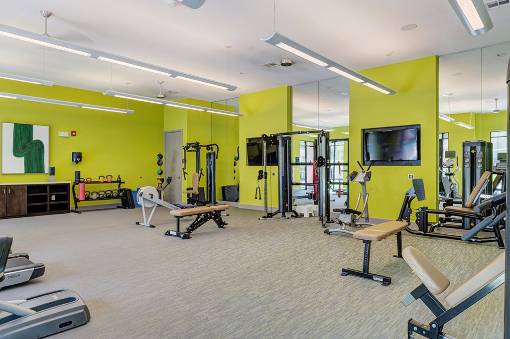 A gym with a variety of equipment including treadmills, weight benches, and a television.
