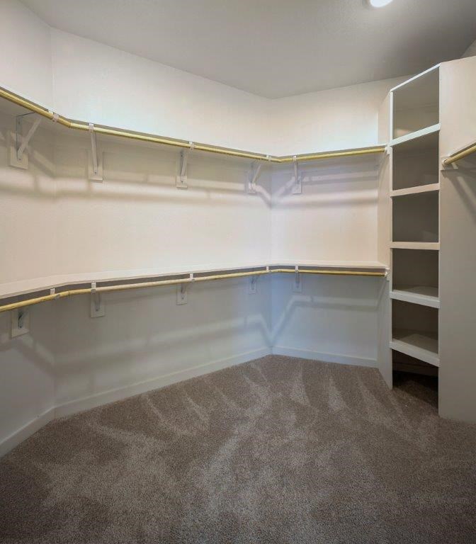 walk in closet with shelving at Brixton South Shore, Austin