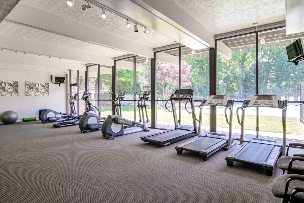 A gym with treadmills, exercise bikes, and other equipment.