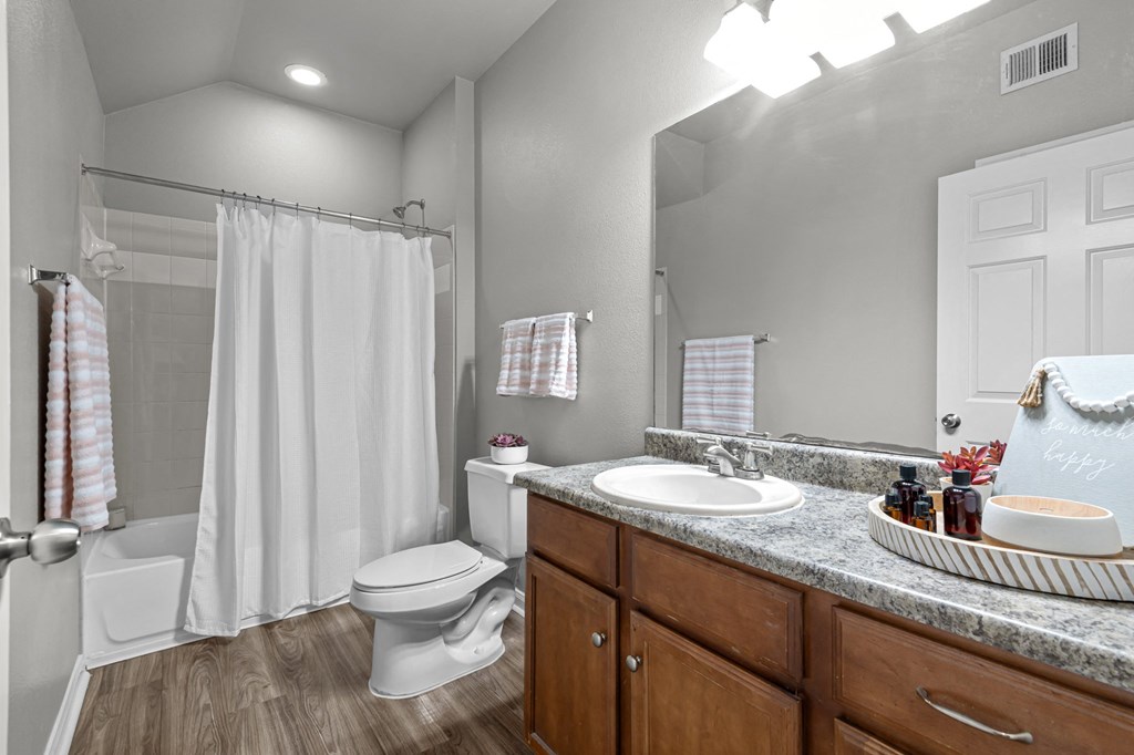 a bathroom with a sink and a toilet and a shower