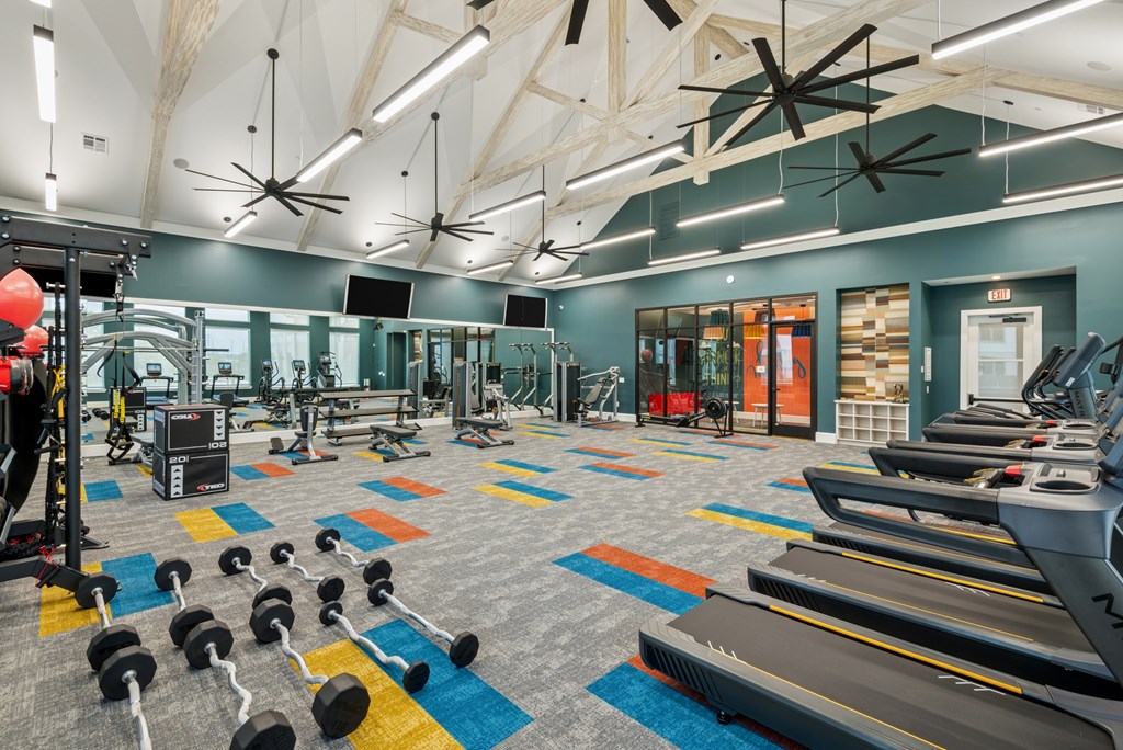 A gym with a variety of equipment including treadmills, dumbbells, and weight machines.