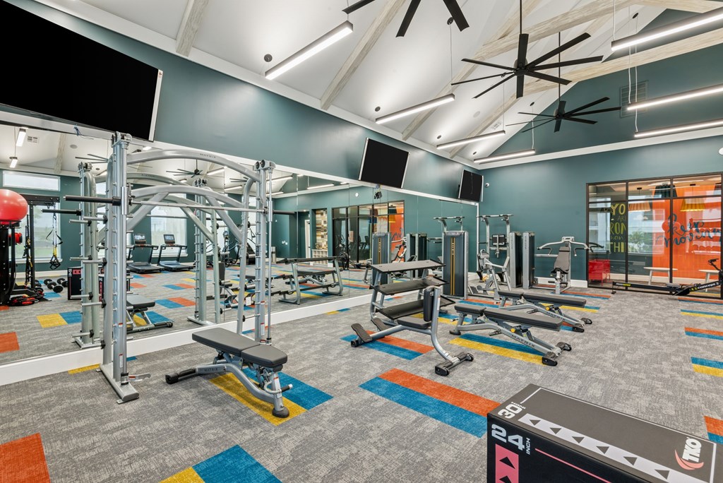 A gym with a variety of equipment including a squat rack, bench, and weights.