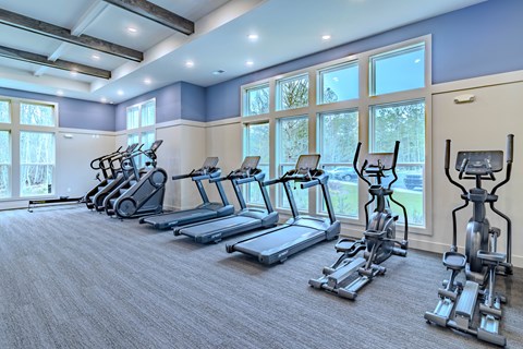 A row of treadmills and elliptical machines in a gym.