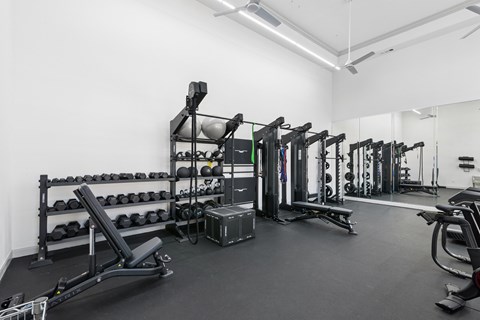 A gym with a variety of equipment including weights and weight machines.