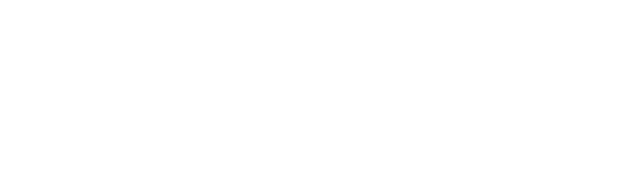 The image shows the word "CAMILLE" in large white letters, followed by the word "FARMS" in smaller white letters.
