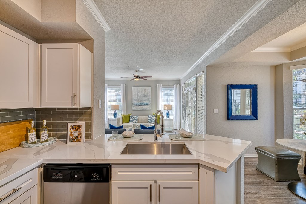 a kitchen with a sink and a counter top