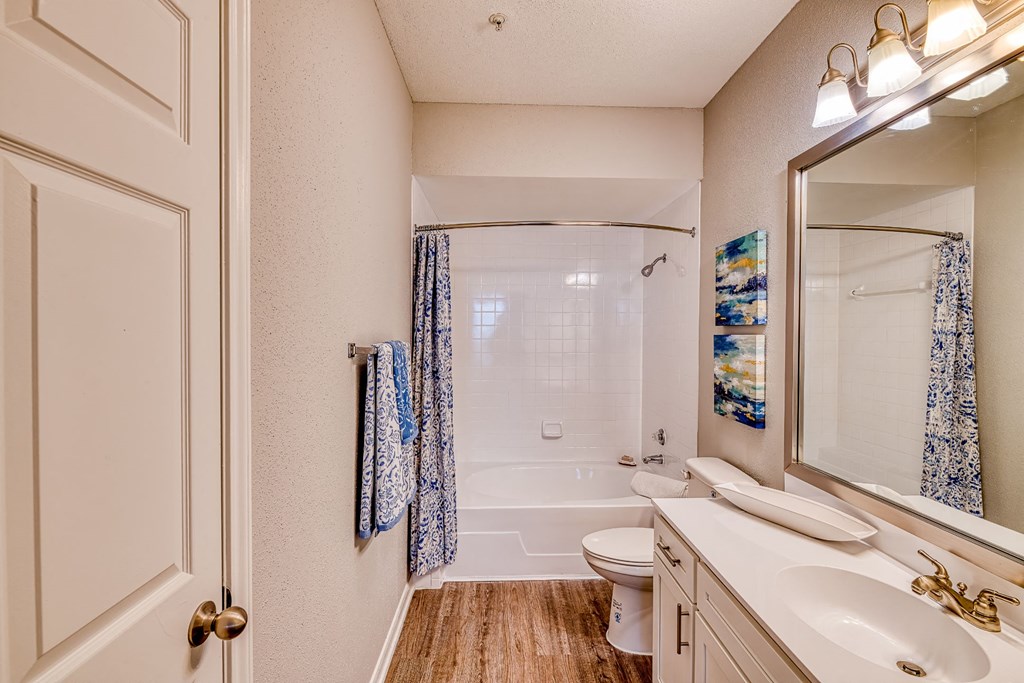 a bathroom with a shower toilet and sink and a mirror