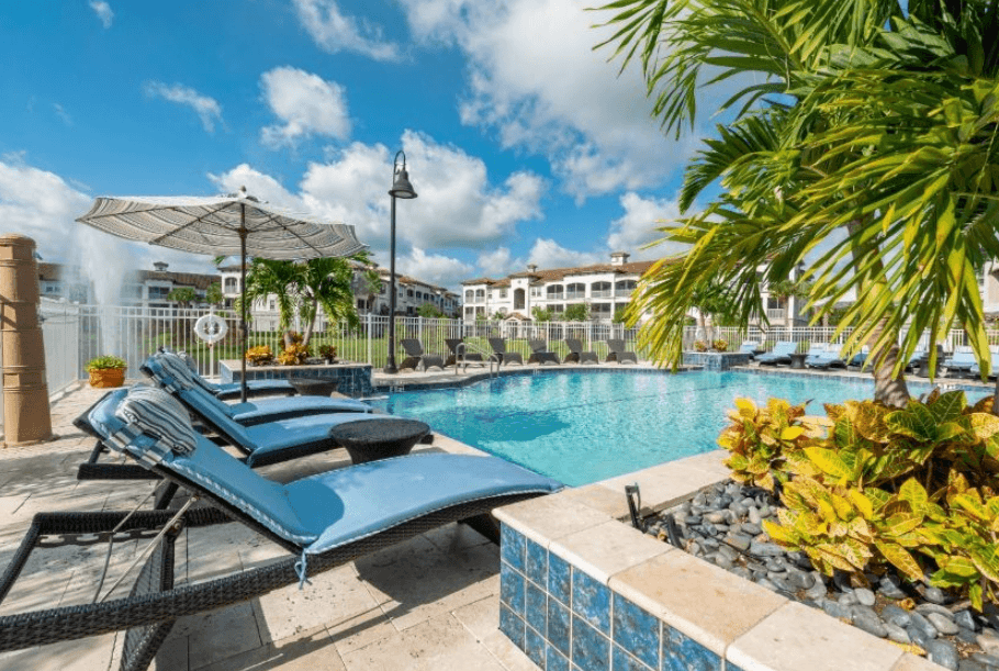 a swimming pool with blue lounge chairs and a palm tree