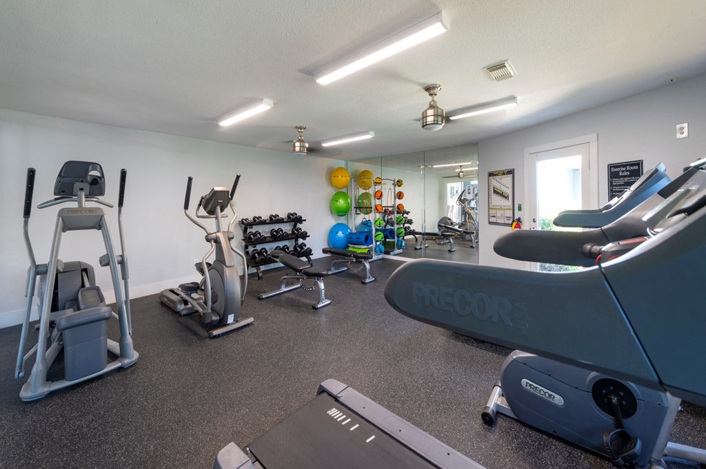Fitness Center at Cashel Springs, Houston, 77069