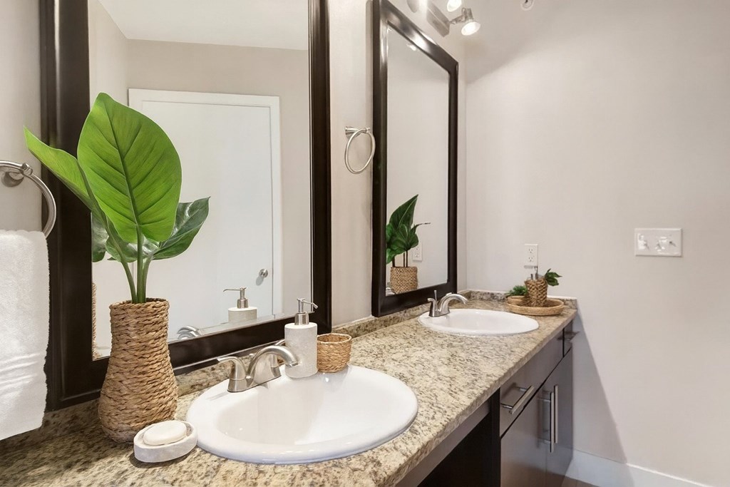 A bathroom with a sink, mirror, and a plant in a vase.