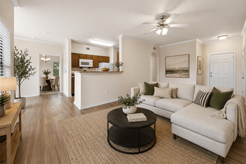 3601 Faudree Road 1-2 Beds Apartment for Rent