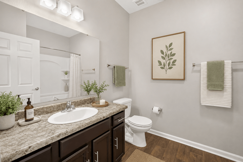 A bathroom with a white toilet, a sink, and a mirror.