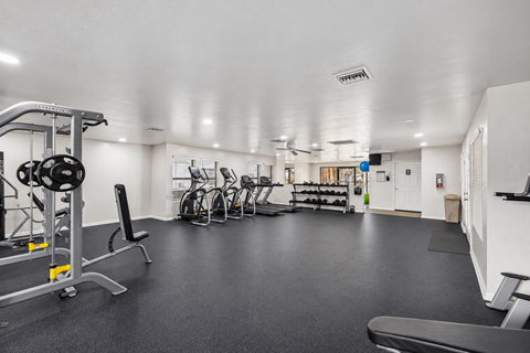 A spacious gym with a variety of equipment including a weight bench, a treadmill, and a rowing machine.