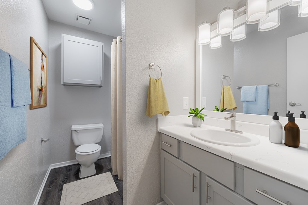 A bathroom with a white toilet, sink, and a mirror.