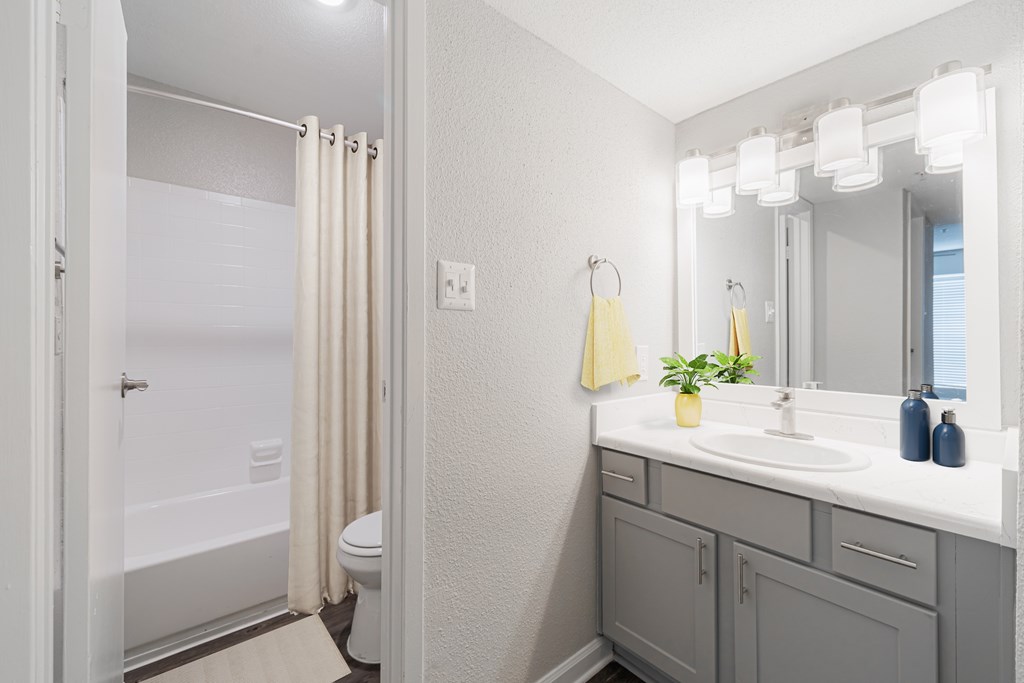 A bathroom with a white sink, a mirror, a toilet, and a shower.