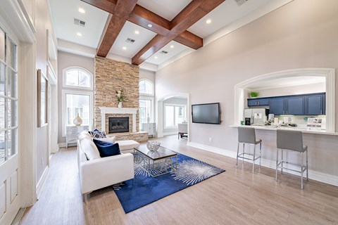 A living room with a fireplace and a blue rug.