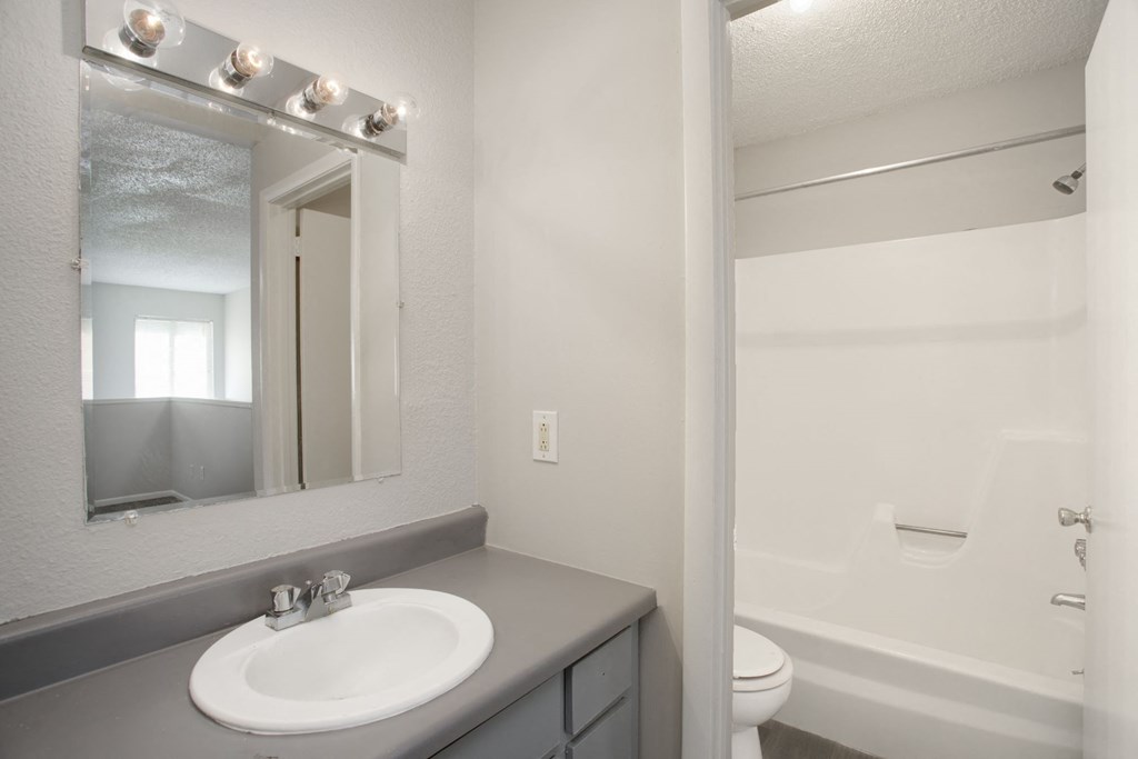 a bathroom with a sink and a toilet
